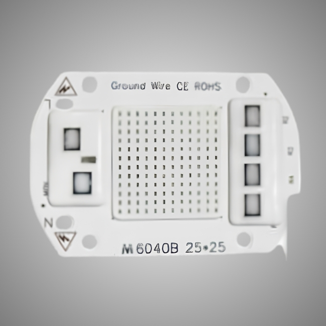 50W Driverless COB LED (220V AC) RL147C 50W Driverless COB LED (220V AC) RL147C